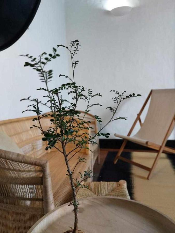 Casa Yooj Designers House In Teguise Διαμέρισμα Teguise  Εξωτερικό φωτογραφία